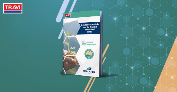 Relatório Anual de Energia Renovável 2024