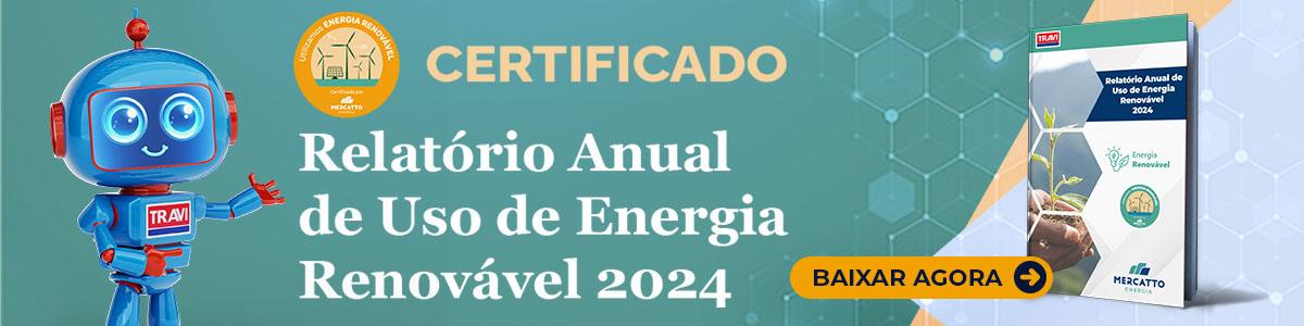 Relatório Anual de Energia Renovável 2024